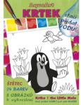Akim AquaArt A4 "Doar adăugați apă" + pensulă - Mole 2 (AK9121) Carte de colorat