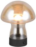 TRIO TR54981113 LED asztali lámpa DOOLEY | 1, 5W integrált LED forrás