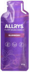 Allrys Vital Power Blueberry energia zselé (áfonyás) 50 g (5999862253011)