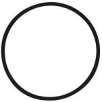 Grundfos Oring 65x3.00 FKM /spare (97904666)