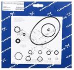 Grundfos Kit, maint. NH3/113/EPDM/TFM (96689053)