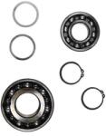 Grundfos kit, S Frame 50 Bearing kit (6307+ 3309) (96494648)