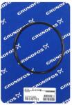 Grundfos Spare, Oring (98148761)