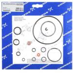 Grundfos Kit, maint. Cl2/111102/FKM/TFM1700 (96689047)