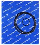 Grundfos Kit, Oring TPHP (96121674)