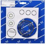 Grundfos Kit, maint. Cl2/189010/FKM/Viton (91835829)