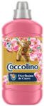 Coccolino Öblítő Konc. 1, 275L Honeysuckle&Sandalwood