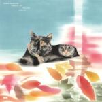 Marcon, Eddie Carpet of Fallen Leaves - facethemusic - 18 390 Ft