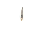 Bosch Bujie incandescenta BOSCH 0250202142