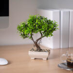  Műnövény dekoráció - bonsai - 18 x 24 cm (G11869)