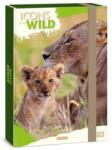 Ars Una Füzetbox ARS UNA A/4 Icons of the Wild-Lions (50855049) - fotoland