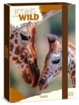 Ars Una Füzetbox ARS UNA A/4 Icons of the Wild-Giraffes (50855056) - fotoland