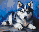 Alkotásutca Hűséges kis husky - Számfestő készlet kereten 40x50