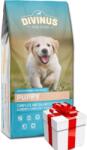 DIVINUS Divinus Puppy 20kg + Meglepetés A Kutyádnak Ingynes
