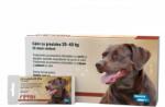  Bioveta 3 x Fiprin spot dog L (20-40 kg), 2.68 ml