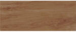 Zalakerámia Csempe, Zalakerámia ZBD 53005 ALBERO fényes falburkoló 20x50 - mozaikkeramia