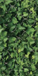 Paradyz Dekorlap, Paradyz Classica Uniwersalne Inserto Szklane Dream 30x60cm - mozaikkeramia