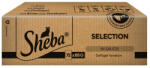 Sheba 144x85g Sheba Selection szószban szárnyasválogatás nedves macskatáp - zooplus - 34 890 Ft