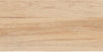 Zalakerámia Járólap, Zalakerámia Wood Barna 30x60 ZAP-ZRF60302