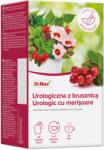 Dr. Max Ceai urologic cu merisoare, 20 plicuri