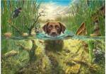 Schmidt Spiele 58572 - Dog's Life - Brown Labrador in the Cool Water - 1000 db-os puzzle (58572)