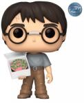 Funko POP! Harry Potter (Harry Potter) Special Edition (POP-0174)