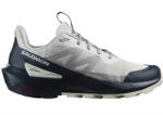 Salomon ELIXIR ACTIV Glacier Gray/Carbon/Slate Green Férfi kültéri lábbelik UK 8, 5