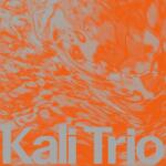 KALI TRIO Playful Abstract - facethemusic - 5 690 Ft