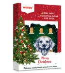 Wanpy Christmas Calendar - Коледен календар с лакомства за кучета и котки