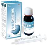 Virbac VetGastril Plus- при стомашни и чревни неразположения на кучета и котки- 50 мл