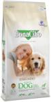 BonaCibo Lamb & Rice Adult Dog - Пълноценна храна за израснали кучета с агнешко и ориз 15 кг - zoogard