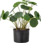 Bloomingville Floare artificială în ghiveci Bloomingville margaretă obișnuită S (82061504)
