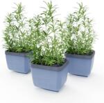 Gusta Garden HERBS BUDDY öntözős, kék, 3 darab (GG-123F11)