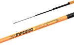 Delphin INFERNO Pole 3m Spicc Bot