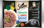 Sheba Nature’s Collection Fish Flavours 4x85 g nedves teljes értékű eledel felnőtt macskáknak mártással, tonhal, lazac, tőkehal, óceáni hal darabokkal