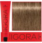 Schwarzkopf Igora Royal hajfesték 60ml Schwarzkopf professzionális hajszínező, 8-00 (4045787200249)