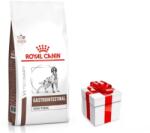 Royal Canin Veterinary ROYAL CANIN High Fibre Response Gastrointestinal kutyáknak 14kg + Meglepetés A Kutyádnak Ingynes