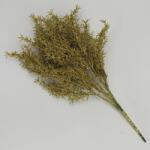  Csillámos asparagus csokor arany (CR270)