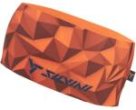 SILVINI AGRI