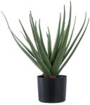 House Nordic művirág cserépben Aloe Vera zöld - zöld Univerzális méret
