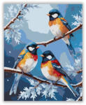  Színes Madarak a Fagyos Ágon - számfestő készlet
