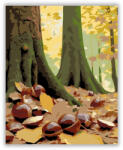  Őszi Gesztenyés Erdő - számfestő készlet