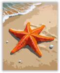  Napfényes Tengeri Csillag a Parton - számfestő készlet