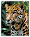 Jaguar a Dzsungelben - számfestő készlet
