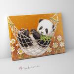 Makana Lazulós panda - Számfestő készlet, kerettel (30x40 cm)