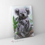 Makana Koala - Számfestő készlet, kerettel (40x50 cm)