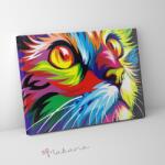 Makana Szivárvány macska - Számfestő készlet, kerettel (30x40 cm)