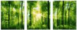 Makana Erdei napsugarak - Többrészes számfestő, kerettel (50x120 cm)