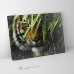 Makana Zöld szempár - Számfestő készlet, kerettel (40x50 cm)