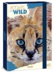 Ars Una Wild Serval vadmacskás füzetbox - A4 (50855032)